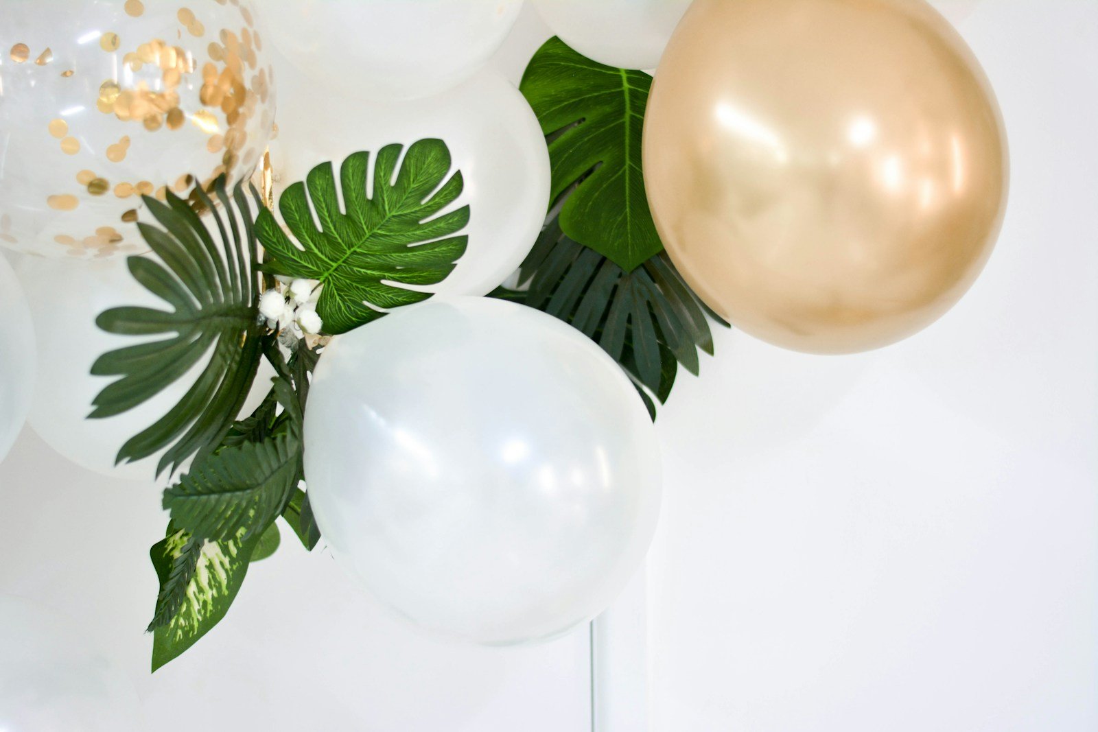 eco friendly birthday