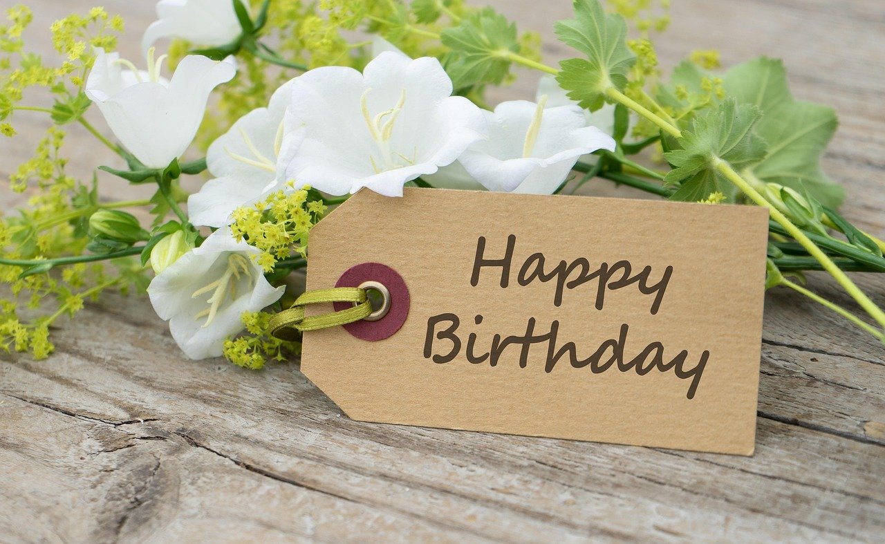 happy birthday, beautiful flowers, flower background, flower wallpaper, flowers, tag, paper tag, greeting card, birthday card, card, white flowers, bellflowers, bouquet, plant, closeup, happy birthday, happy birthday, happy birthday, happy birthday, happy birthday, nature, birthday card